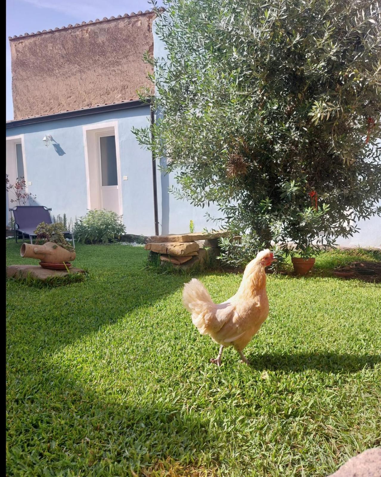 B&B Il Borgo Delle Emozioni Dolianova エクステリア 写真